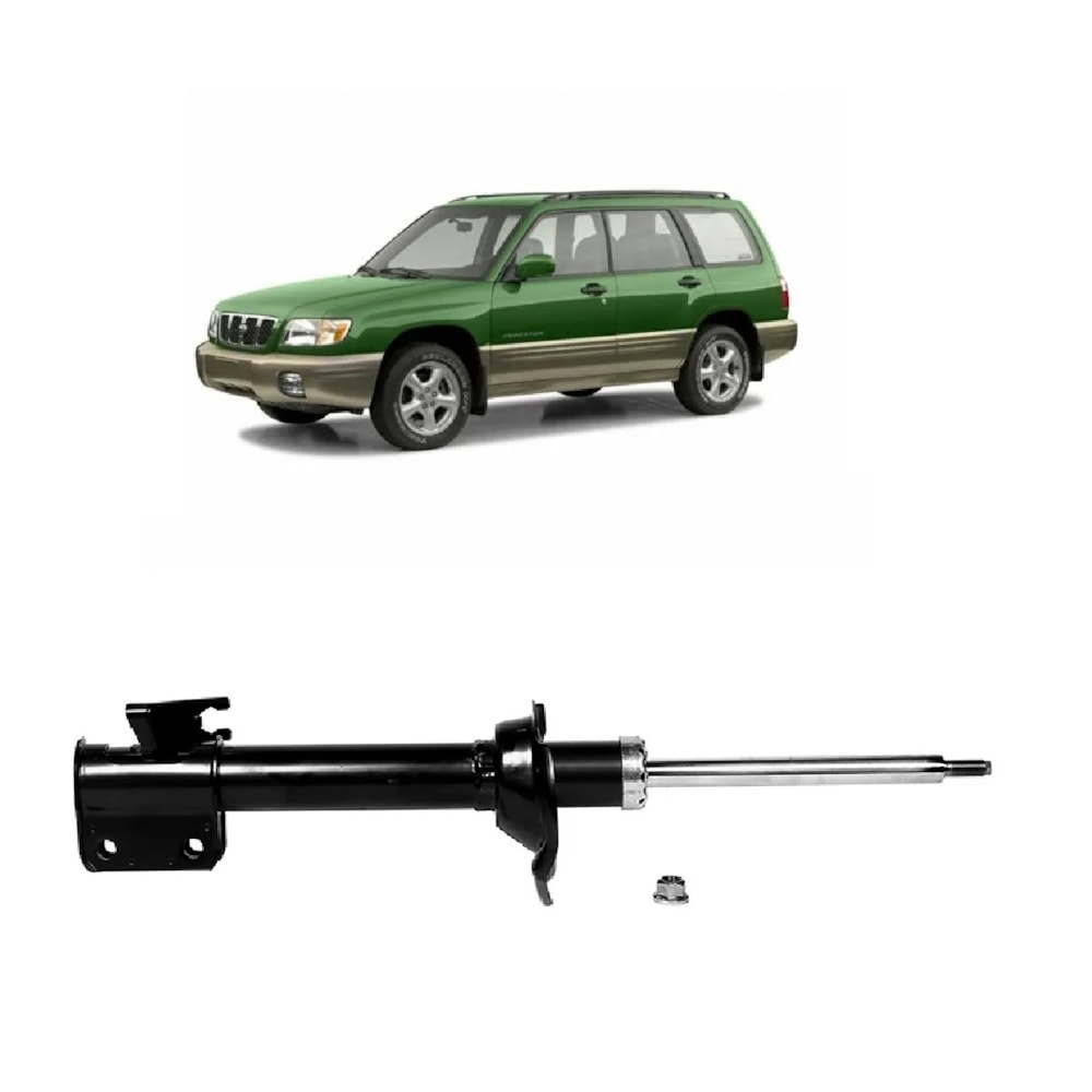 image_389eabd3-e6ef-435c-8a30-10bede2f2778