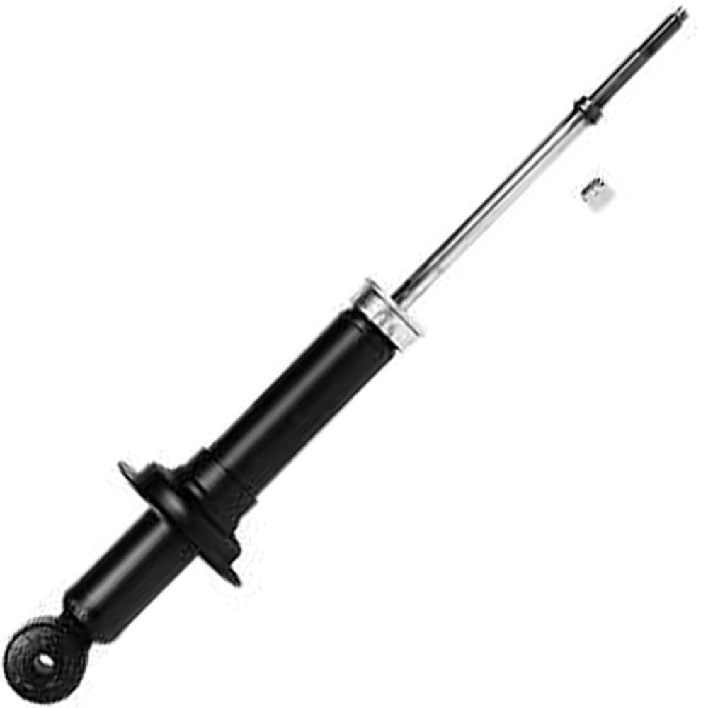 image_755f22d5-a76d-436c-af75-a8f2e2ee8082