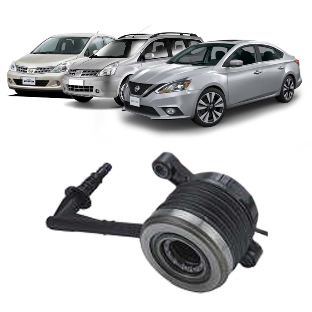 image_b2ad0bc8-4718-4e2b-8ca3-4fa482c6d4ed