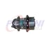 COMPRESSOR UNIVERSAL SANDEN SE7H15 119MM 8PK 12V OREL SAI / TRAS ALTA - SANDEN COMPRESSOR UNIVERSAL SANDEN SE7H15 119MM 8PK 12V OREL SAI / TRAS ALTA - SANDEN