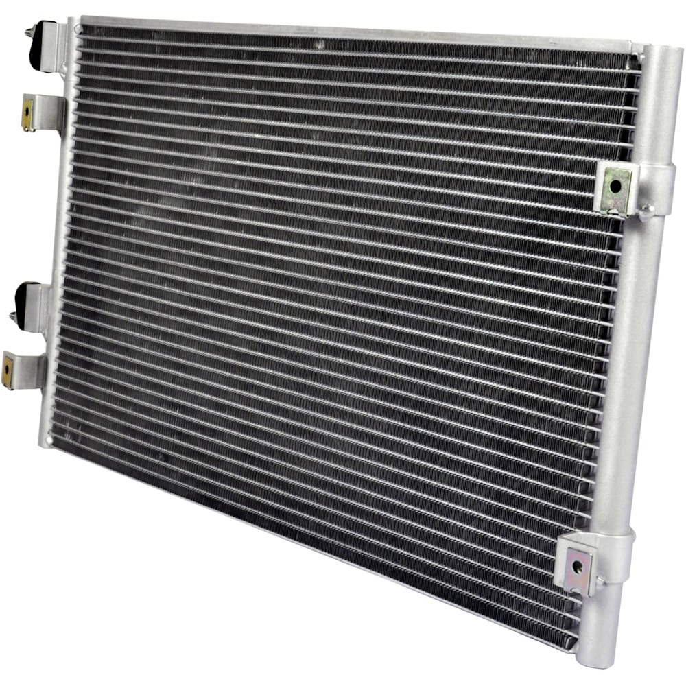 image_cdbdcb88-41ea-4705-be8e-27d4d8740519