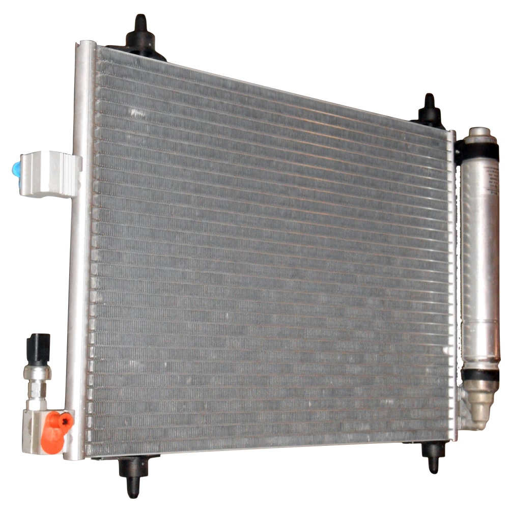 image_1b996bf7-26fb-442d-b156-eac1fc993e04