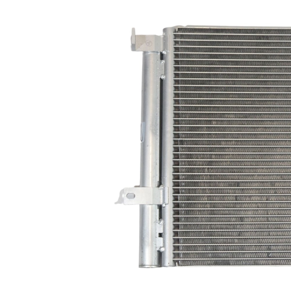 image_b6979c3b-0160-442b-a955-418d28d55fa8