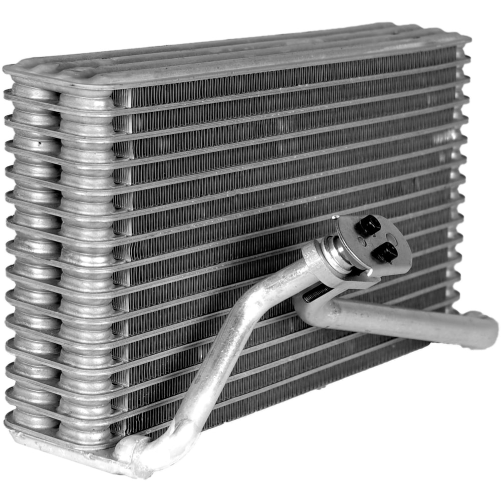 image_b0a55f53-66d2-408c-9050-247e4be36396