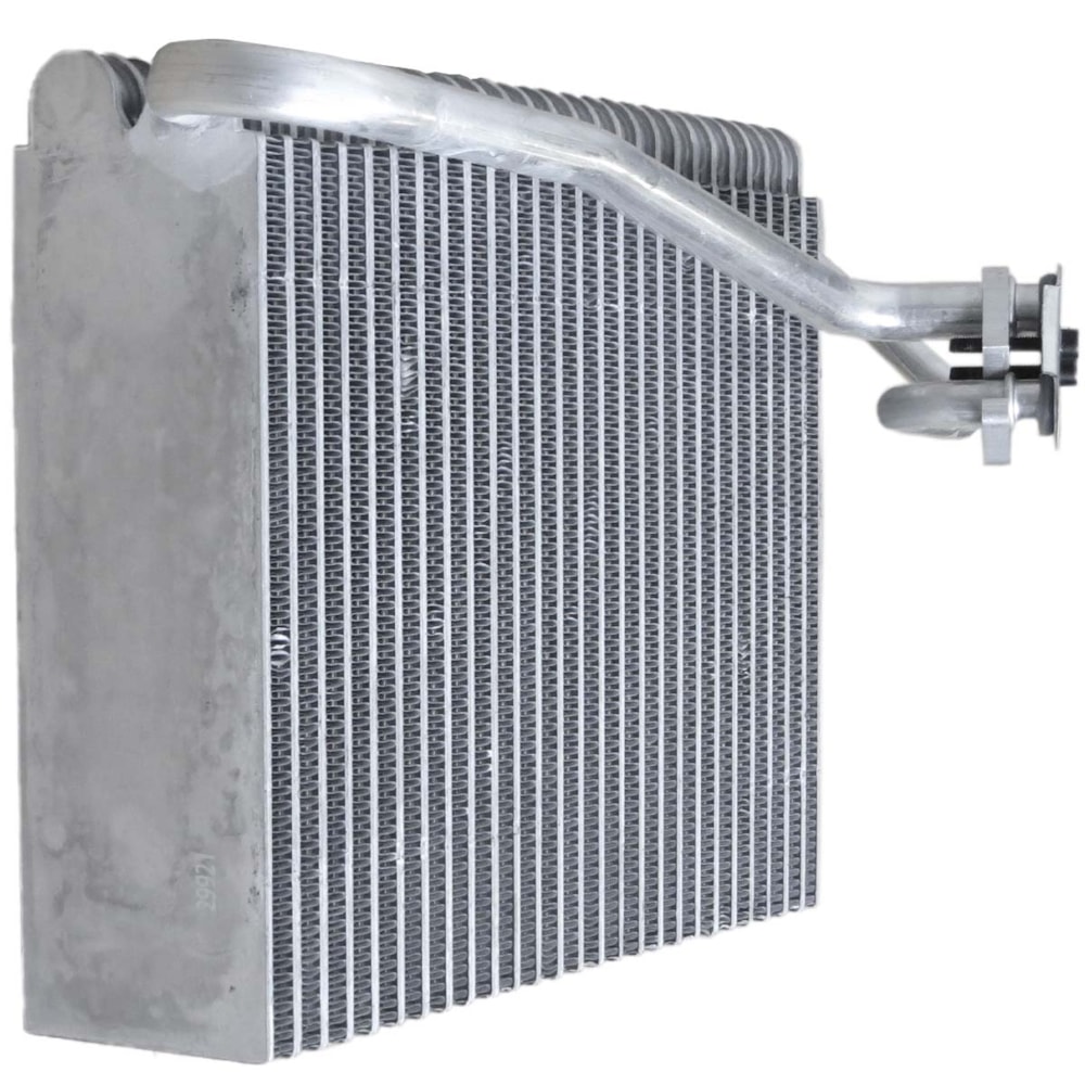 image_558f2d8b-98d3-433f-a1ad-7d440bc11858