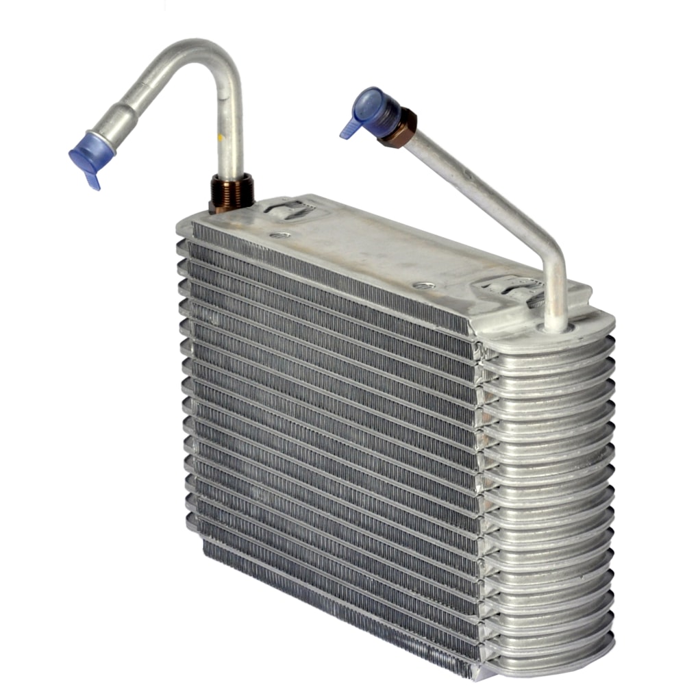 image_e2ac0665-5f9a-4ce4-ac30-c2551a5a5a75