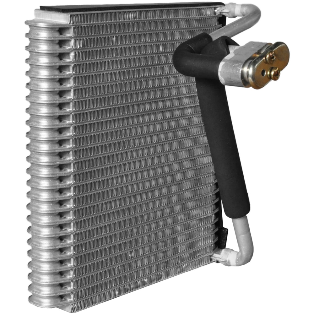 image_0689d6c9-6c7a-414d-8ab4-85e51e1ff702