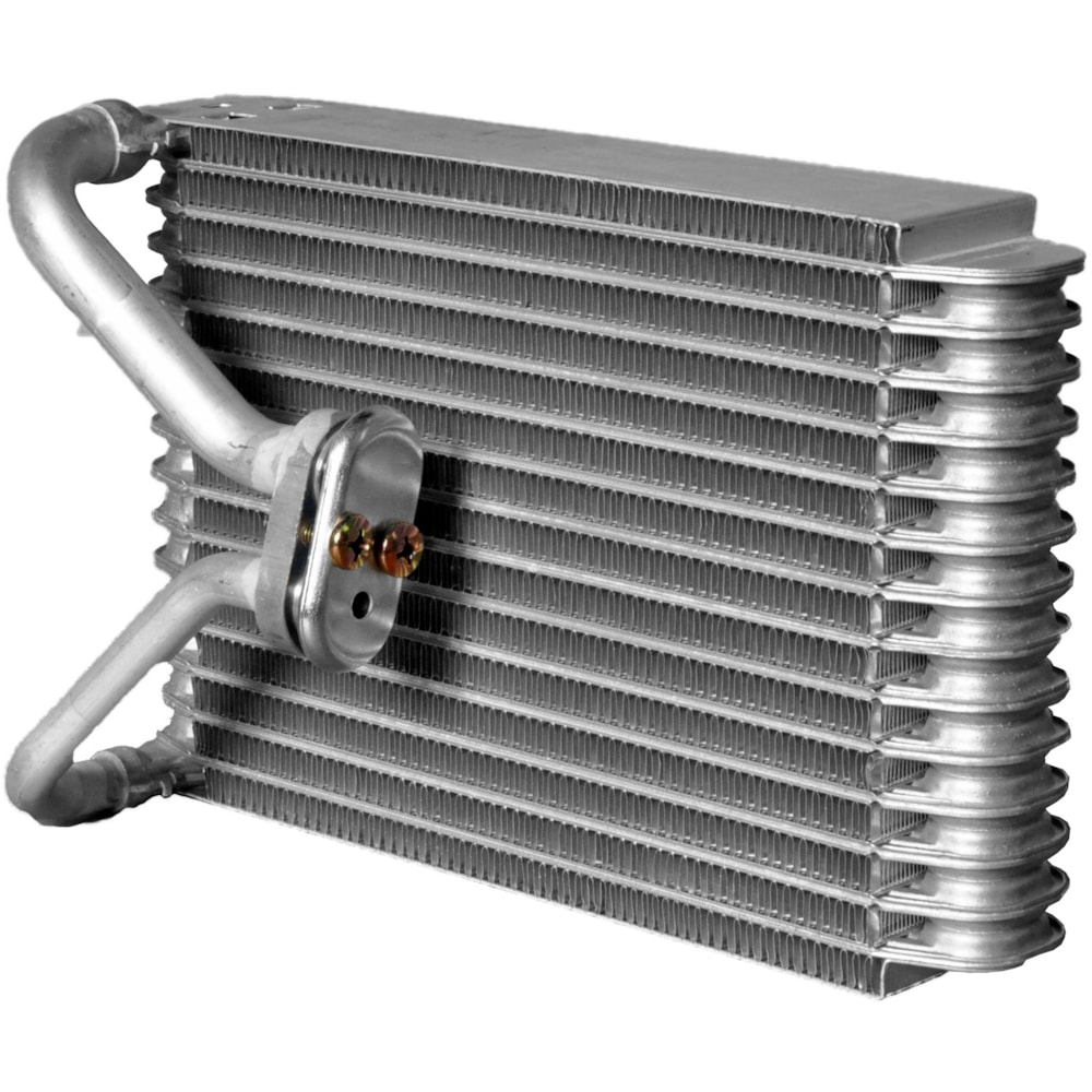 image_4b38f707-31e2-4544-ad8e-e5caffee45e9