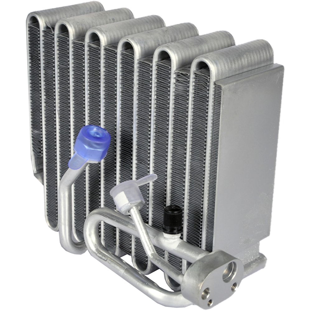 image_9868ae31-756d-4e5a-8c79-e7096547ef51