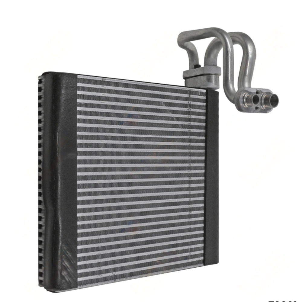 image_b93b98dd-50d0-43d1-9a21-6ef696a8d702