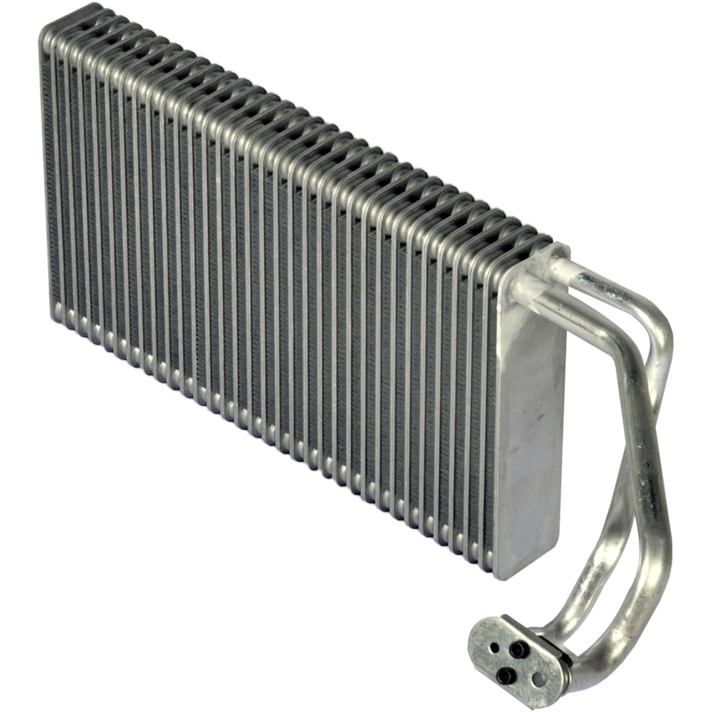 image_74f630d4-9f0d-4627-8d58-73f0658571fe