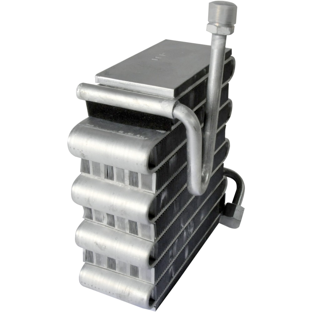 image_e212331f-84c8-47ae-9002-c014f88cb6e8