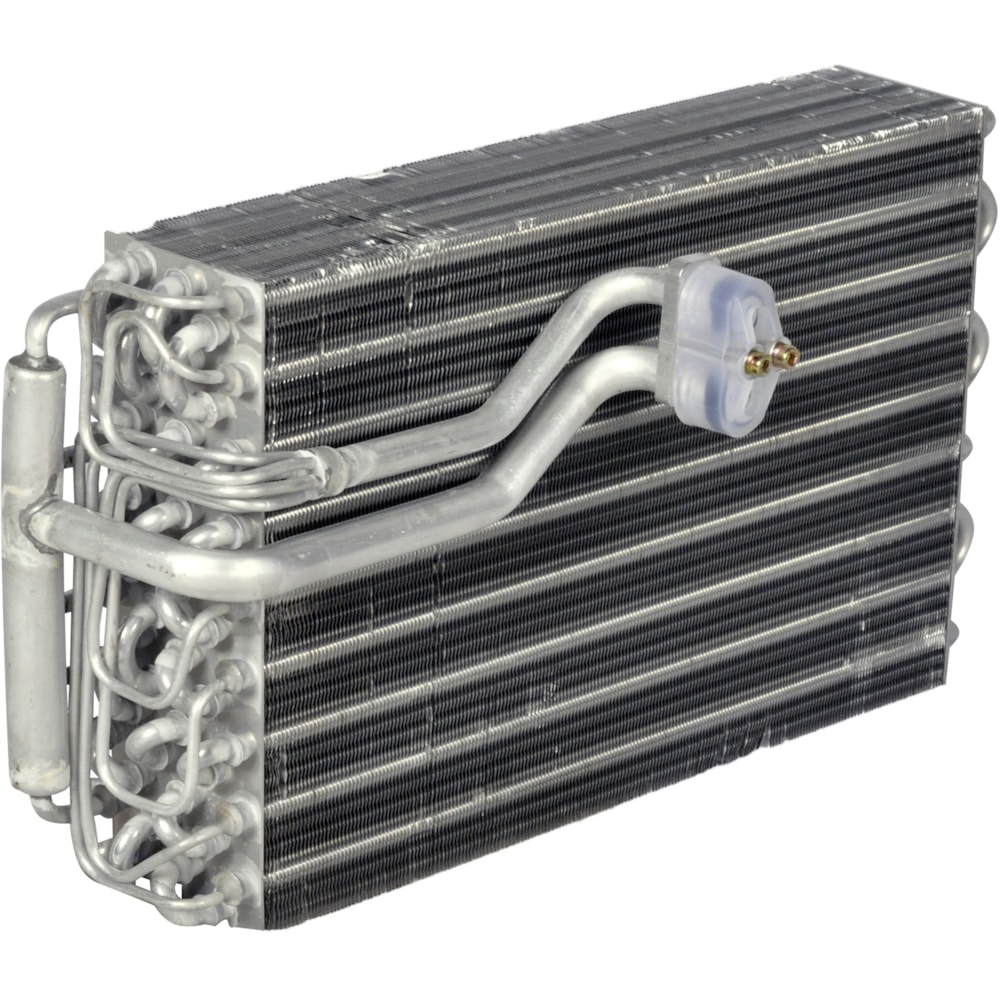 image_e23c7210-4e65-4c5f-84da-916bd36ea0d4