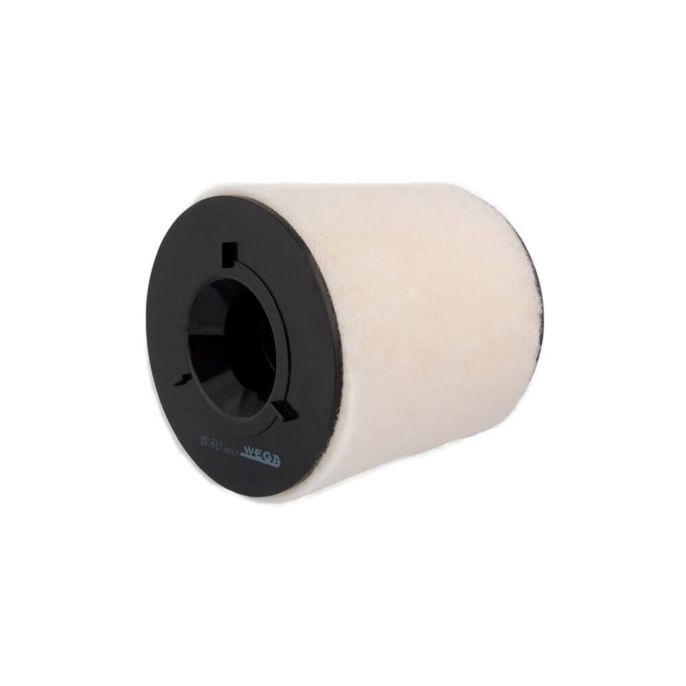 FILTRO AR MOTOR AUDI A1 1.4 16V TFSI S-TRONIC CAXA 2010 EM DIANTE - WEGA FILTRO AR MOTOR AUDI A1 1.4 16V TFSI S-TRONIC CAXA 2010 EM DIANTE - WEGA