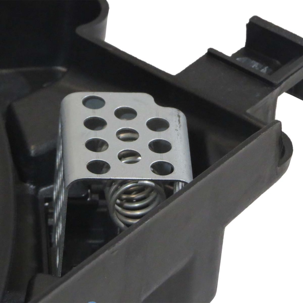 image_b70ed231-b0ae-4fd6-b4ca-4fe4c0698295