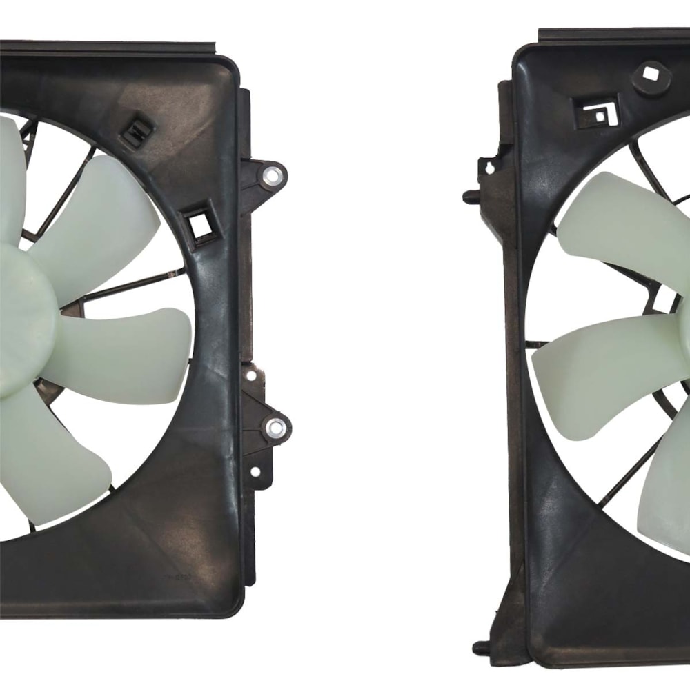 image_0198e01b-0fcd-4a15-a878-6dd1abc02546