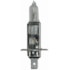 LAMPADA HALOGENA DOUBLE POWER H1 24V DP 70W P14.5S T2.5 - HELLA LAMPADA HALOGENA DOUBLE POWER H1 24V DP 70W P14.5S T2.5 - HELLA