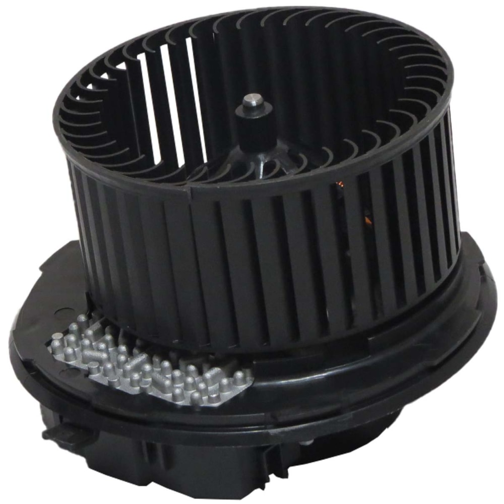 image_ee003a18-2e63-4ea0-8baa-aa4f513368d0