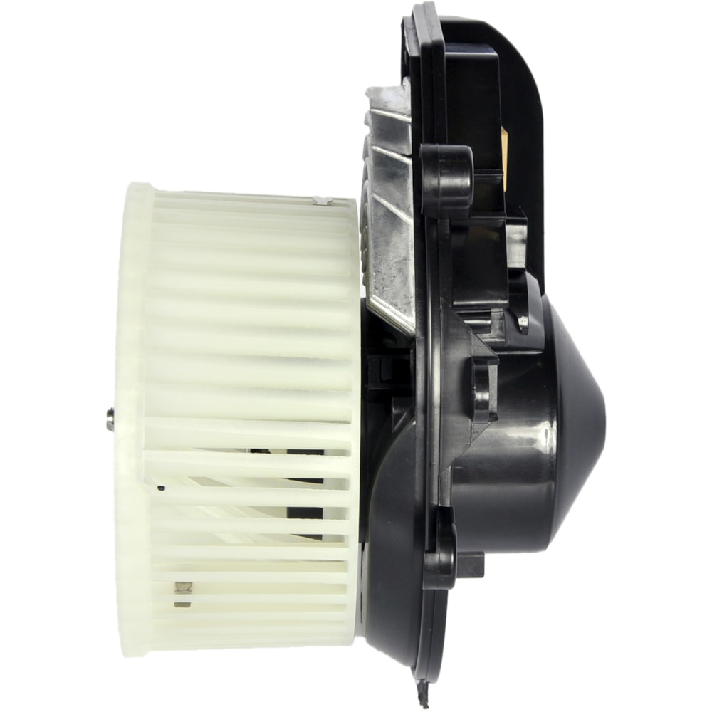 image_c05c0e5f-fd76-444b-af87-c848d63e6ef0