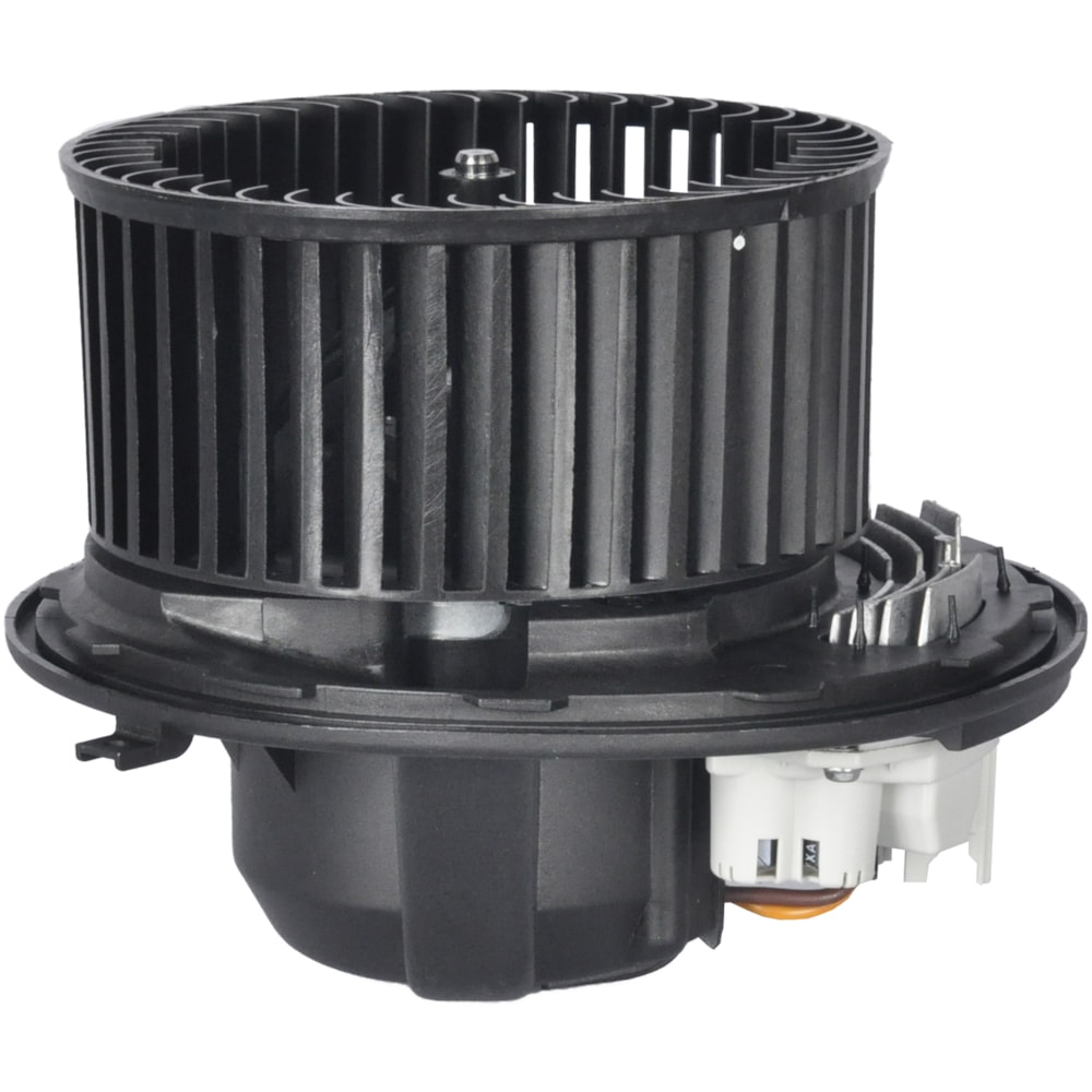 image_8cfb707c-ca7e-4603-8672-cdf7db002291