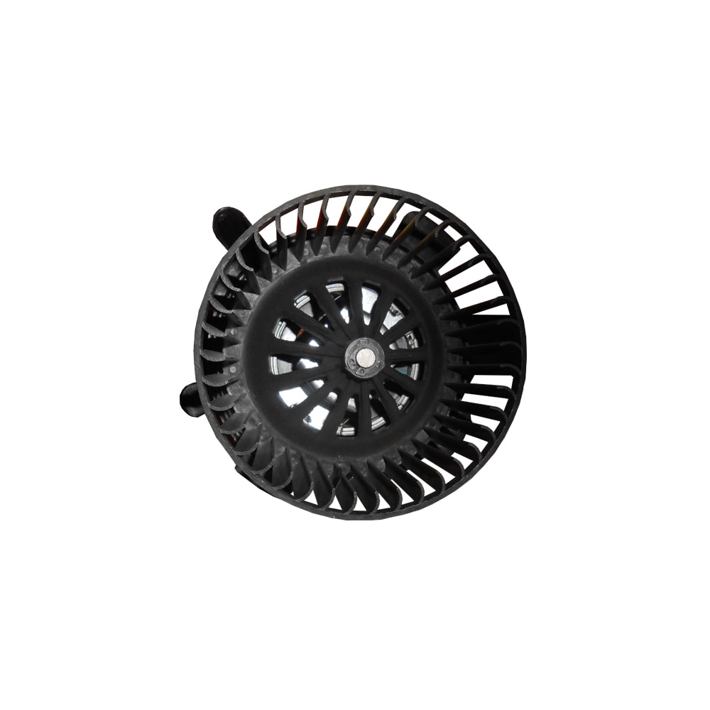 image_56d5aed3-bb13-4fa3-869c-091f2f21b06d