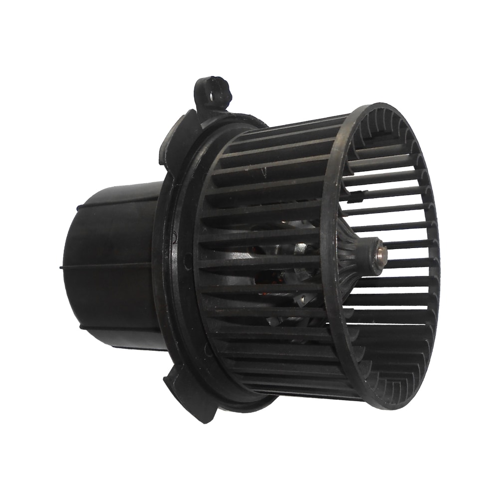 image_e74eaf2c-787a-41e1-902d-73dd096f7814