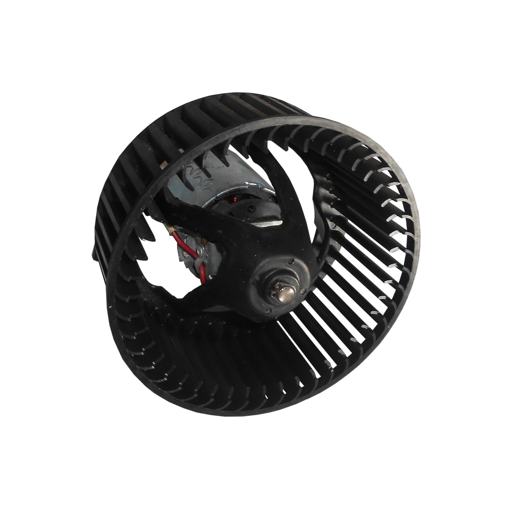 image_e869cfe7-63e2-41a4-b72c-79ed1c631fed