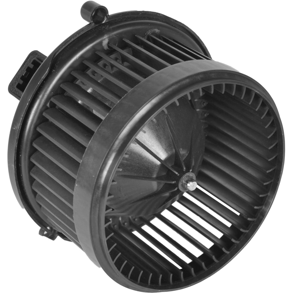 image_267b2635-8769-41ea-9d4b-048f54bf753a