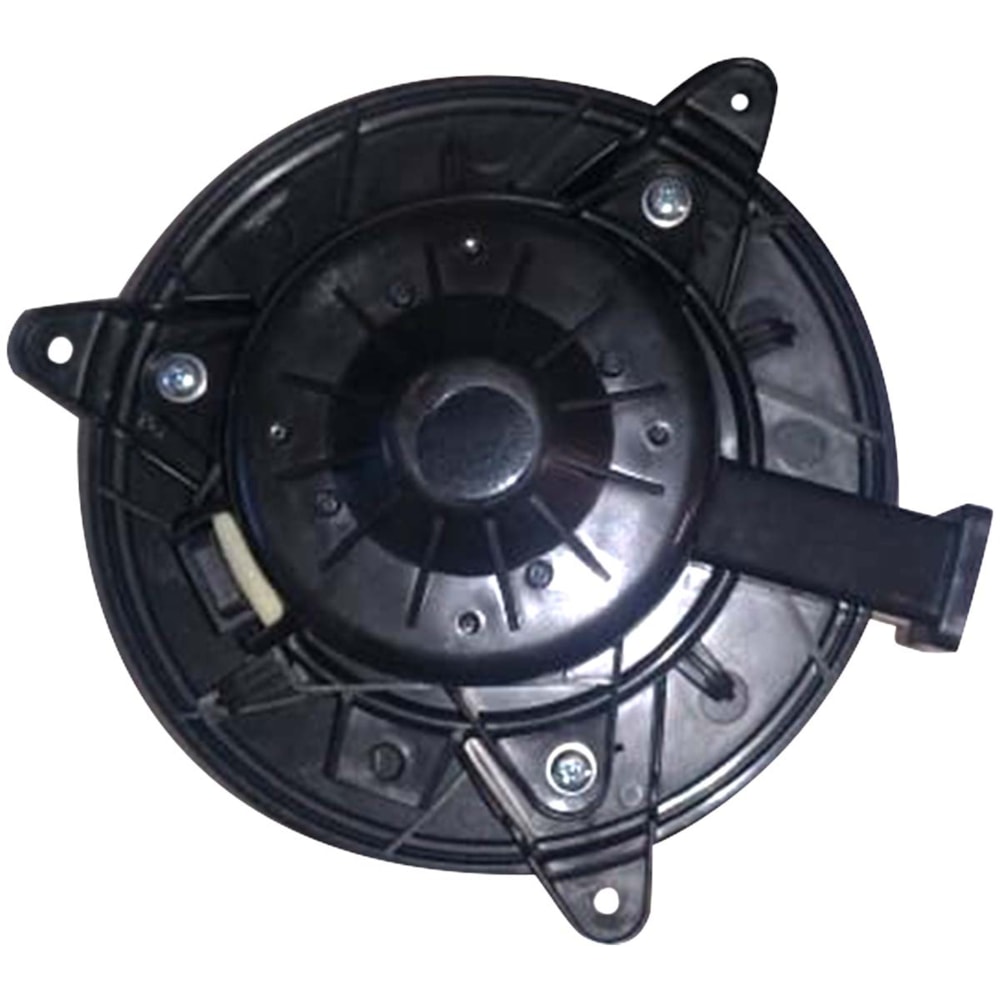 image_46e3b898-dc1d-4aff-b618-832bbf48a16c