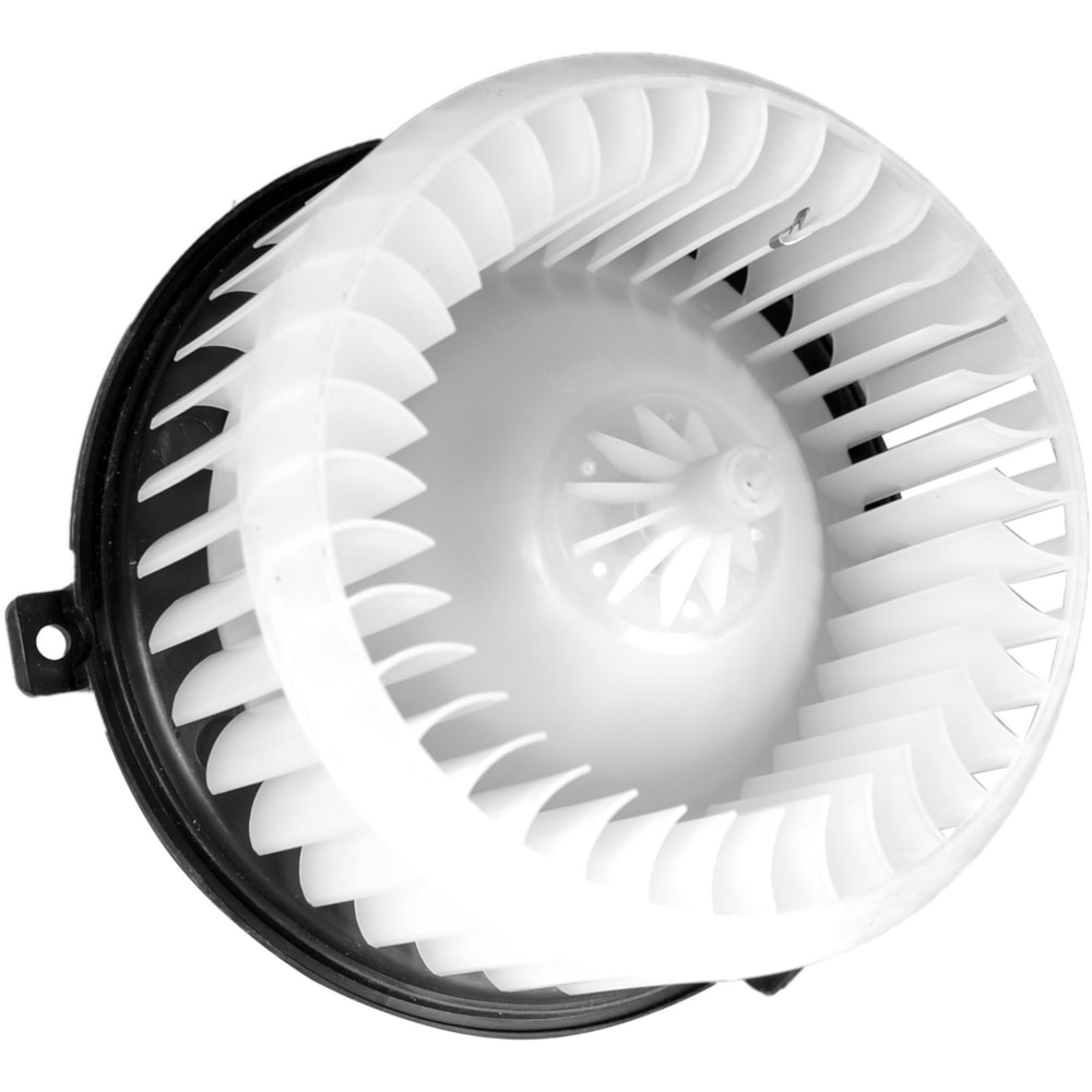 image_29d4d777-6e43-4a1a-a167-99163ac461b6