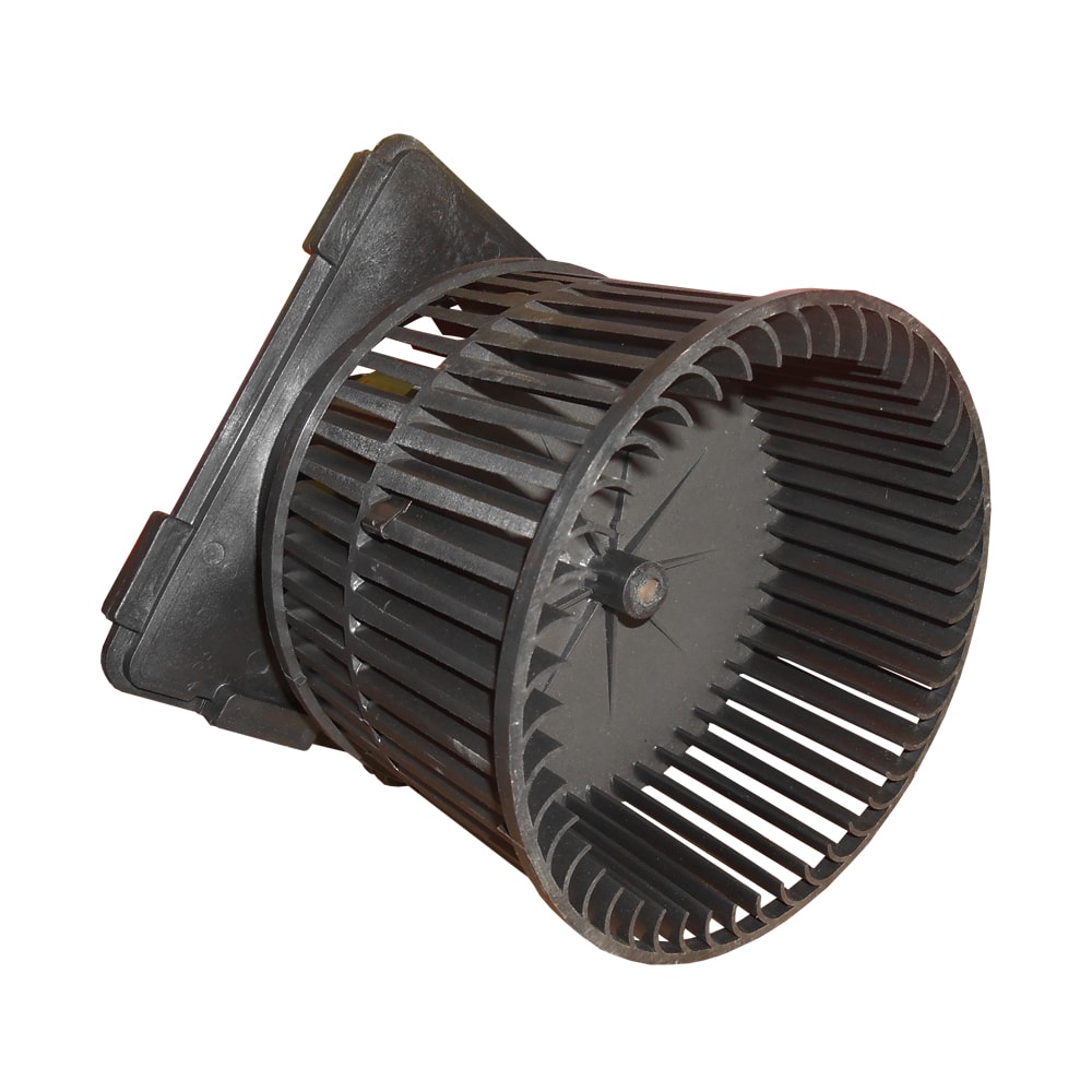 image_7c2a7256-1940-43db-bb97-24c9fea9cdbd