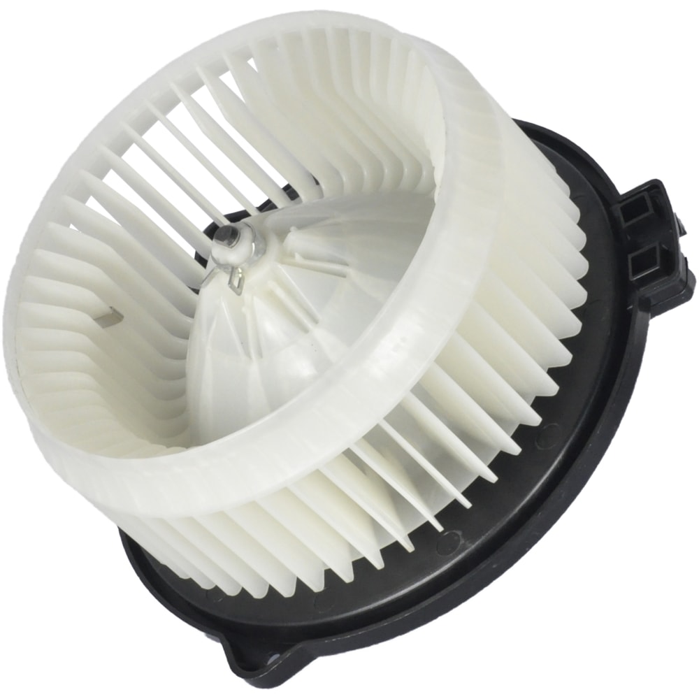 image_c0ea5365-031d-426c-8be6-803eecd4e89b