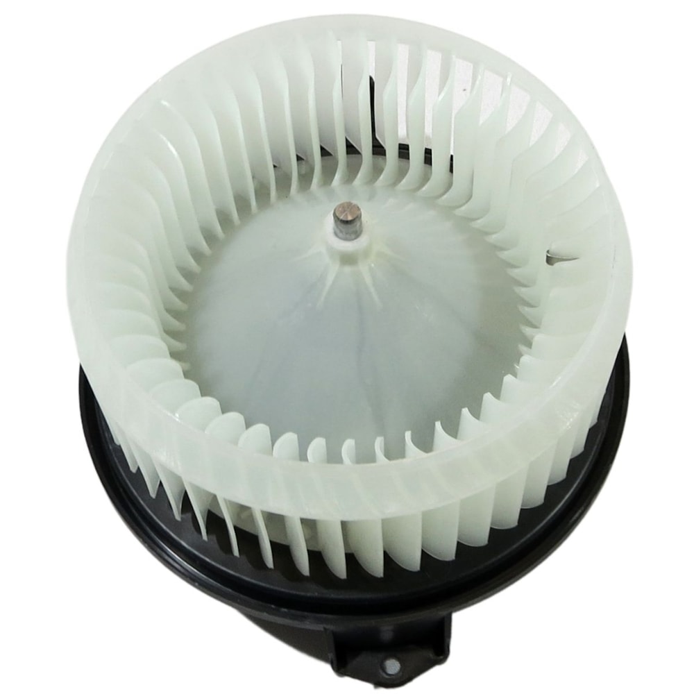 image_e4e19931-0c82-4522-91dd-0373036d378d