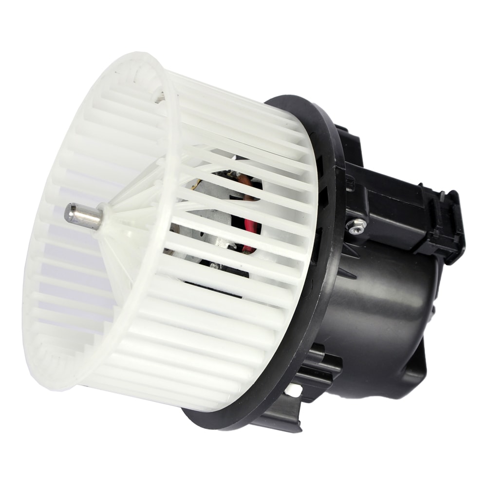 image_741435fa-82c5-40c4-9411-41ef5cf9305e