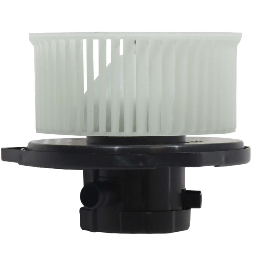 image_e923e8ba-48dc-46ff-a0af-5cadbb867ab4