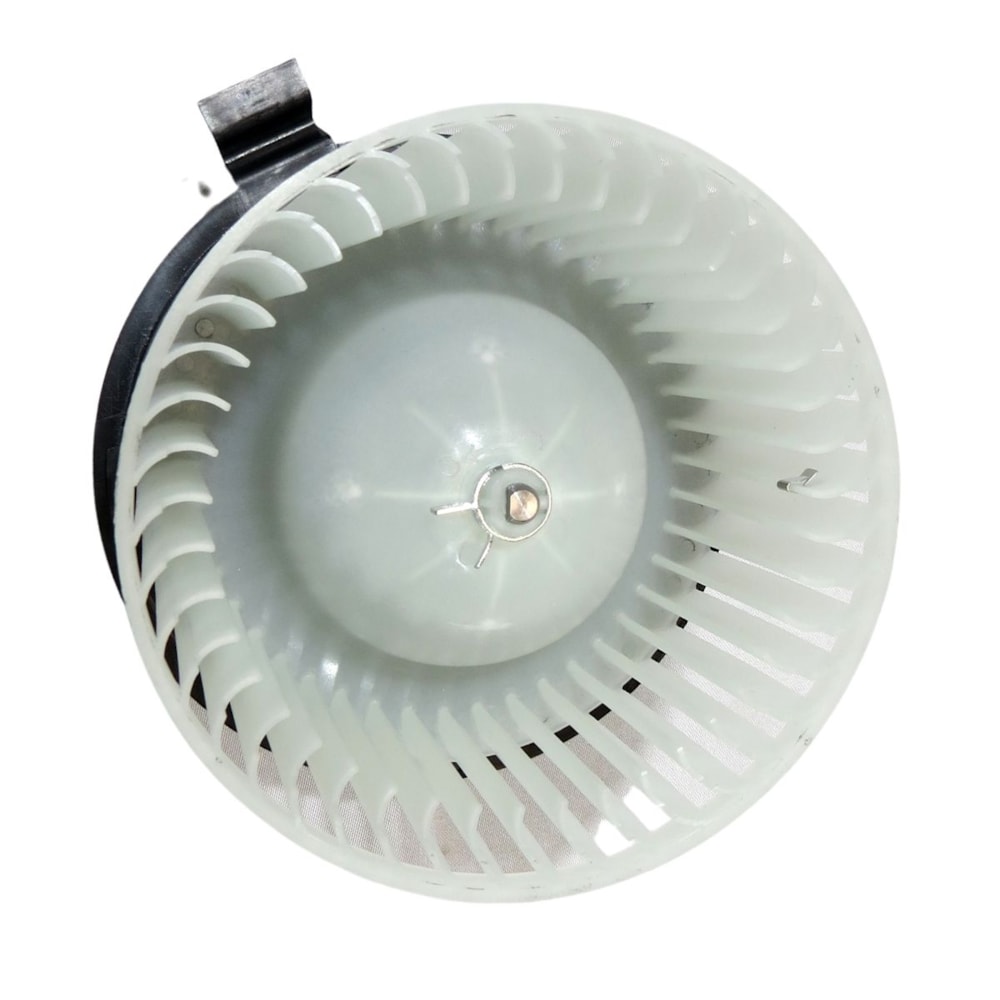 image_ca69298e-cf8b-4525-942e-f78ebe3f53af