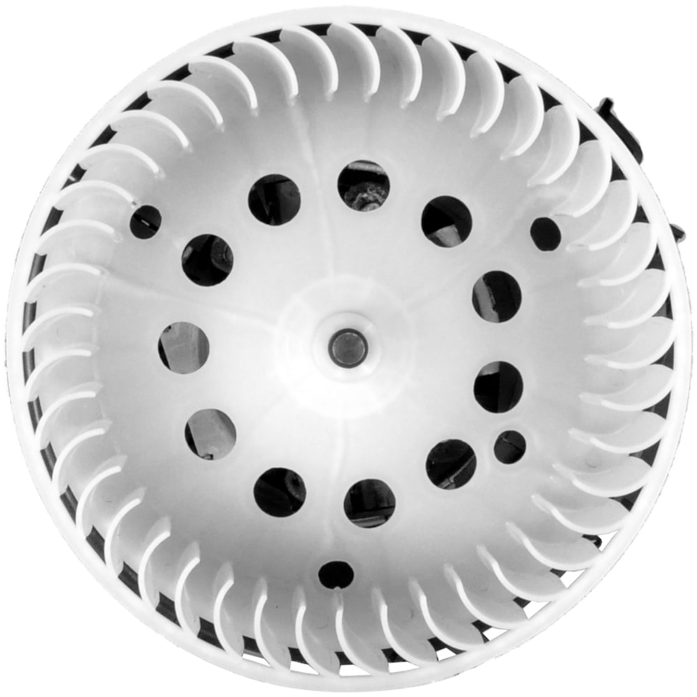 image_0be6c974-8128-4990-9180-d5127b97c208