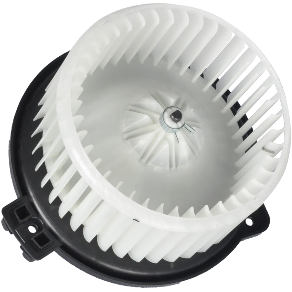 image_bb681d34-9105-437e-8a95-359c6fd66743