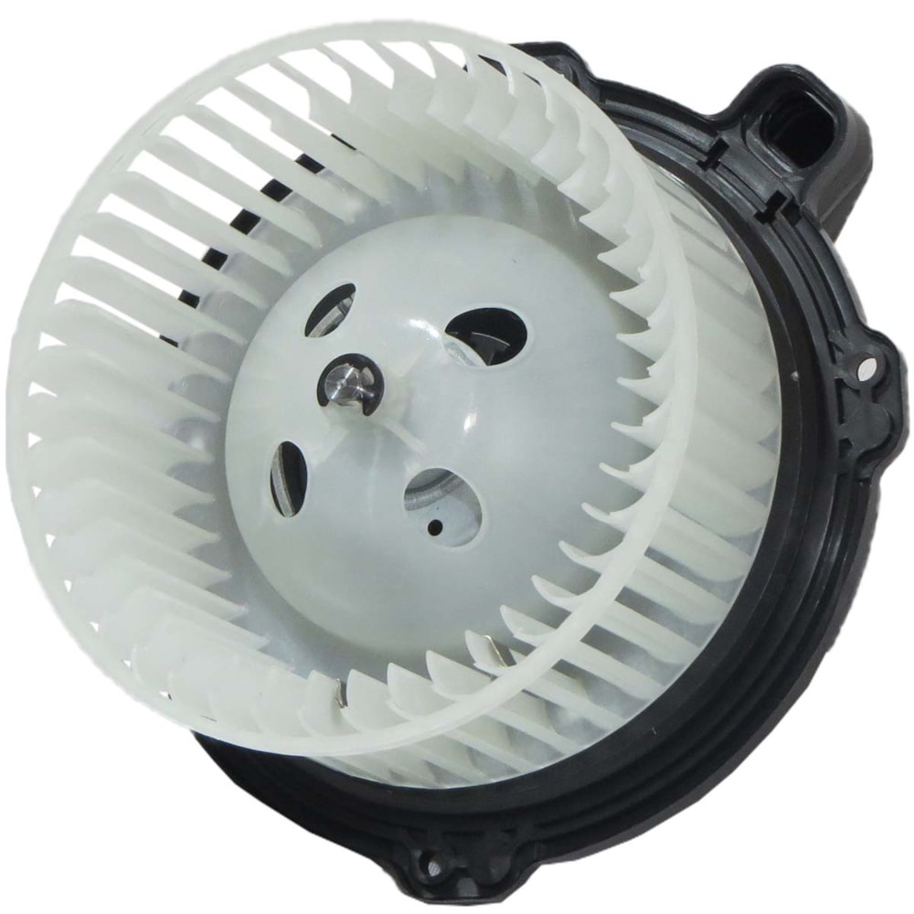 image_3e6a80d0-c8b7-46c7-9239-9e95a2345857