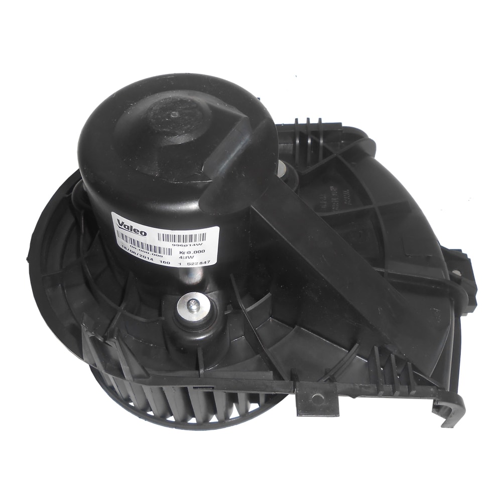 image_9eb72881-ee2a-4160-a4bf-cc4eabe25bdb