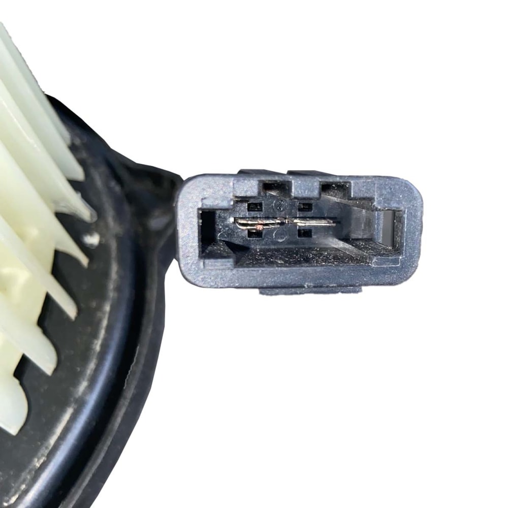 image_eb8ec3d3-5070-449f-8972-50af99f571ce