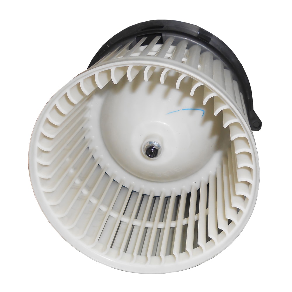 image_f47db210-672a-4fab-8fe2-f070f549c06a