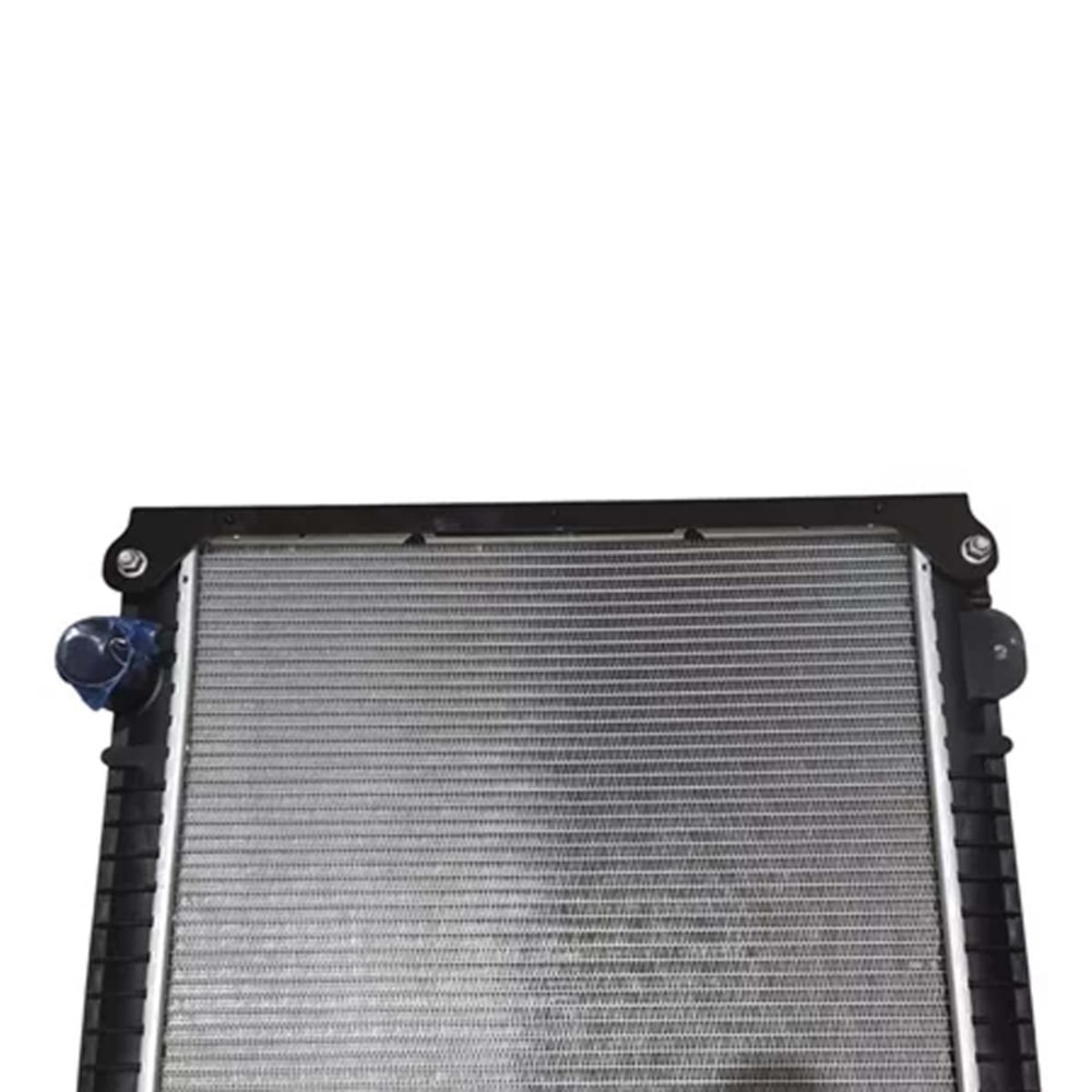 image_95575273-89a7-428f-9986-1ab9c8064769