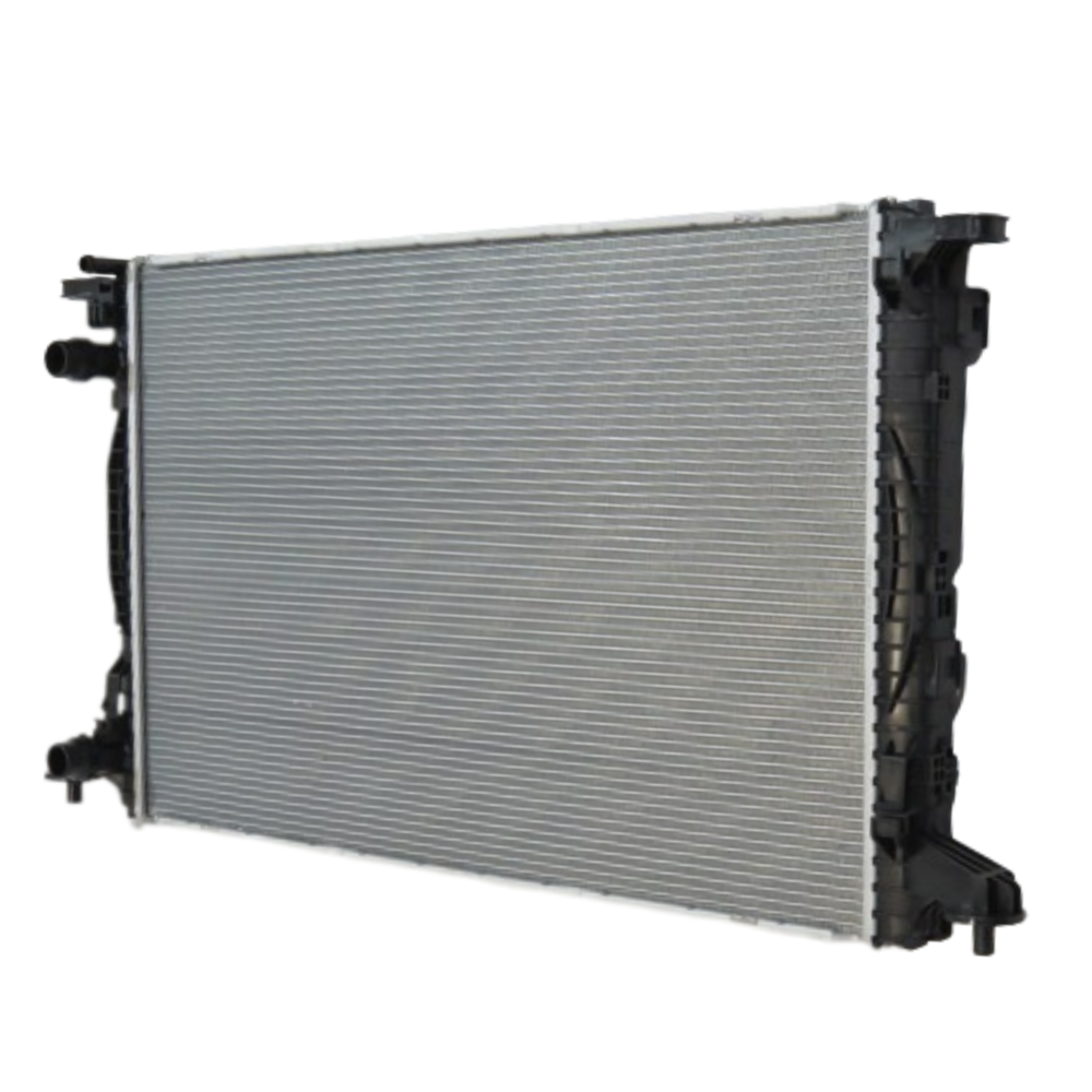 image_374a7de8-58b4-4b59-a639-eedcda5256b8