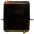 RADIADOR FORD CARGO 1217 / 1416 / 1417 / 1516 / 1421 MOTOR EURO II 2002 A 2005 - BEHR HELLA