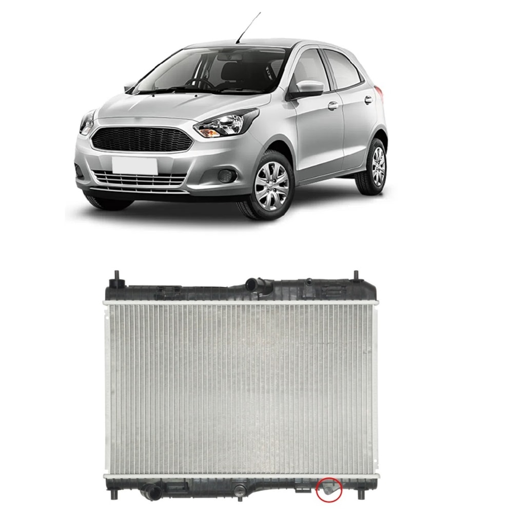 image_8253a45f-06c9-4c58-9314-a553adcc79e4