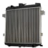 RADIADOR GM CHEVROLET CHEVETTE / CHEVY 500 1.4 / 1.6 8V 1977 A 1995 COM OU SEM AR - VISCONDE/MODINE