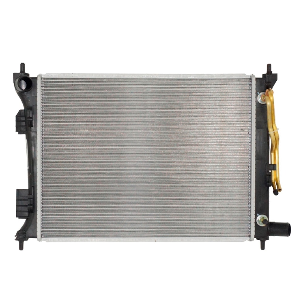 image_9171274b-0191-4192-bc05-9ef736ab2d63