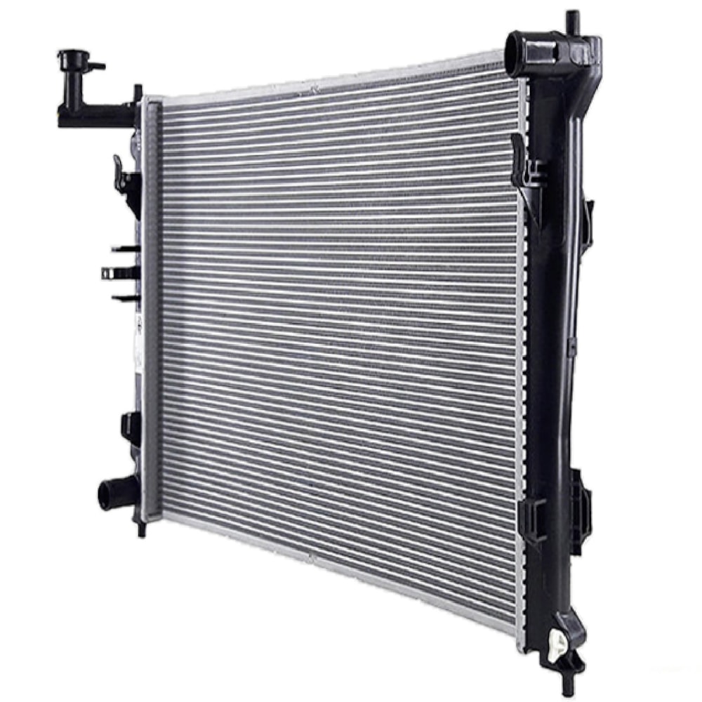 image_1181f690-6290-462c-867a-8b3c2ef28f2d