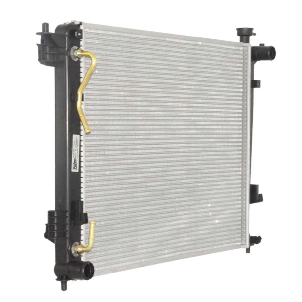 image_02ff7365-99fc-426d-adc6-edea262734e6